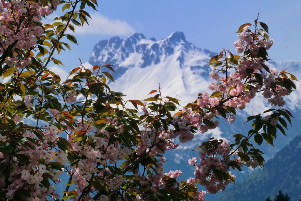 Panorama Hotel Kaserer Fischen im Allgaeu Esterno foto
